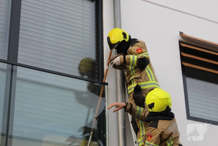 Brandweer bevrijdt duif tussen raam en glasplaat