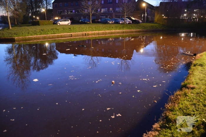 Auto raakt te water; inzittenden op de vlucht