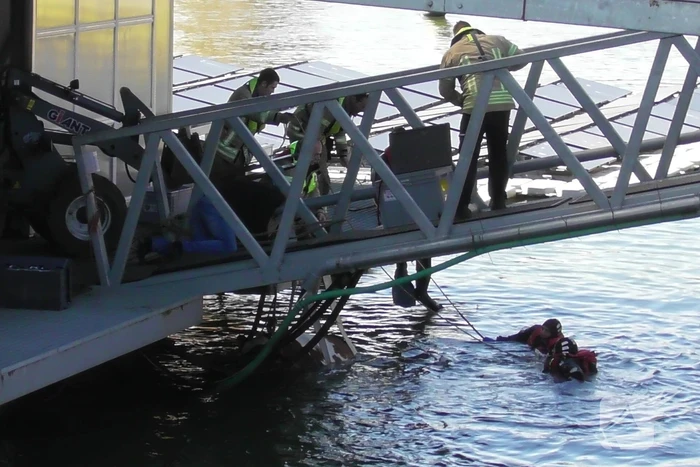 Koe belandt in water Floating Farm