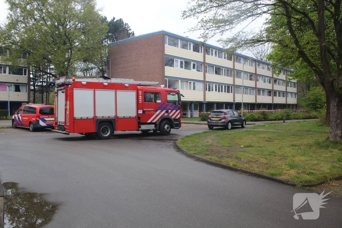 nieuws varenkamp emmen