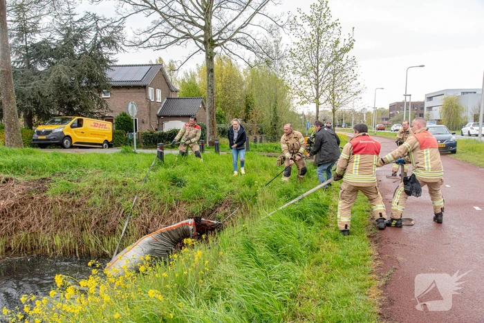 Brandweer en omstanders halen paard uit sloot