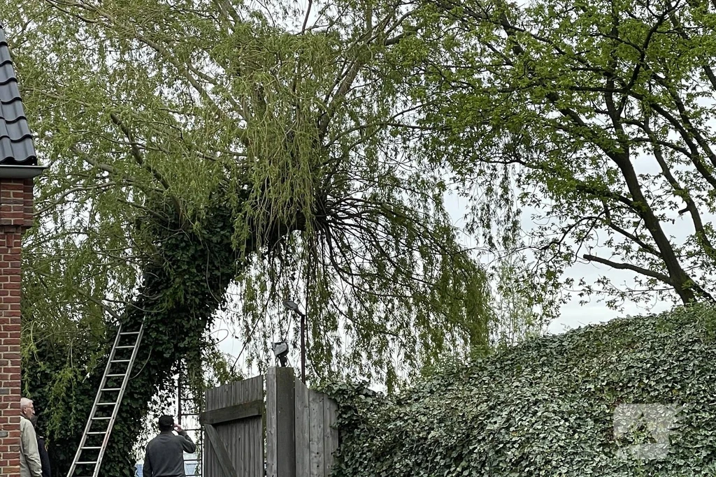 Roestenburgseweg 112 melding Heeswijk-Dinther 