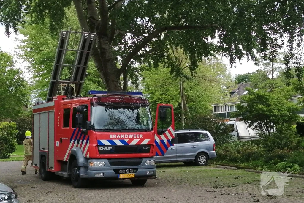 Landszoom Nieuws Krimpen aan den IJssel 