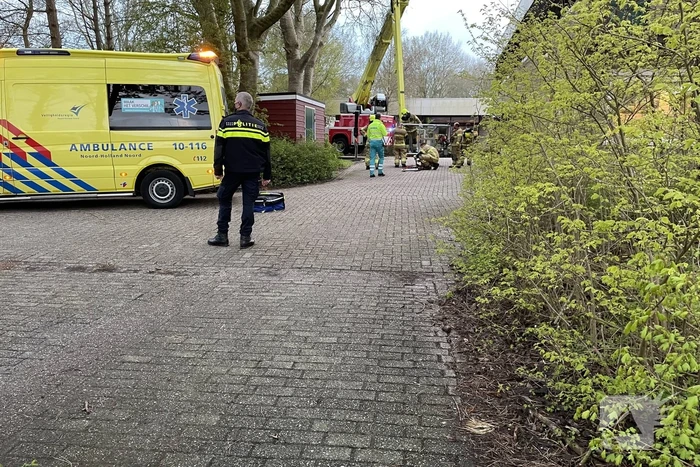 nieuws perenhout julianadorp