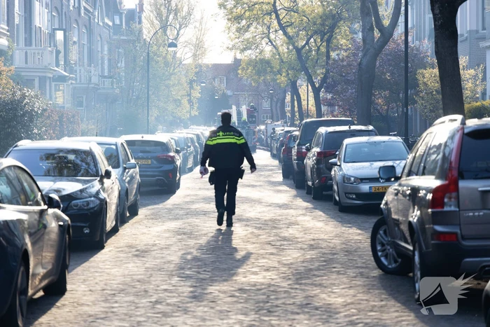 Schoorsteenbrand snel onder controle