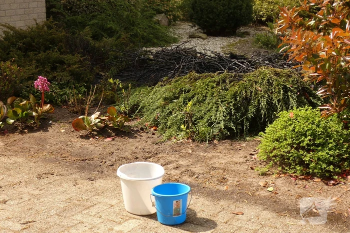 Bewoners blussen coniferenbrand met emmers en tuinslang
