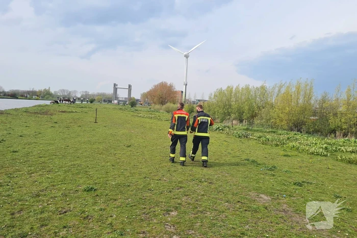Brandweer heeft handen vol door reddingsactie