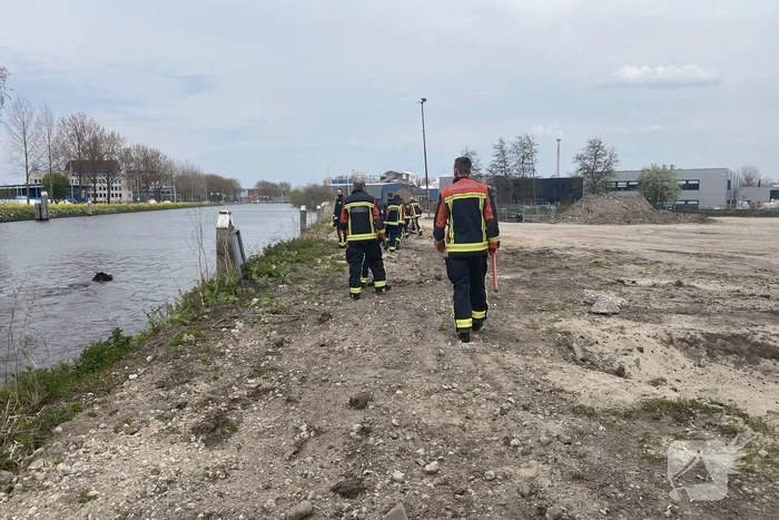 Brandweer heeft handen vol door reddingsactie