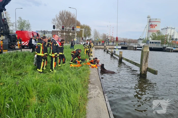 Brandweer heeft handen vol door reddingsactie