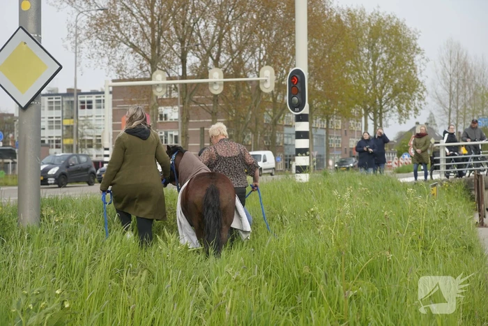 Brandweer heeft handen vol door reddingsactie