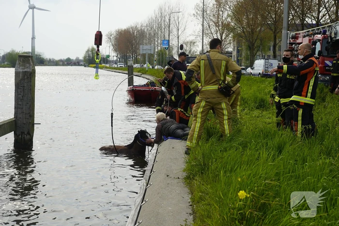 Brandweer heeft handen vol door reddingsactie