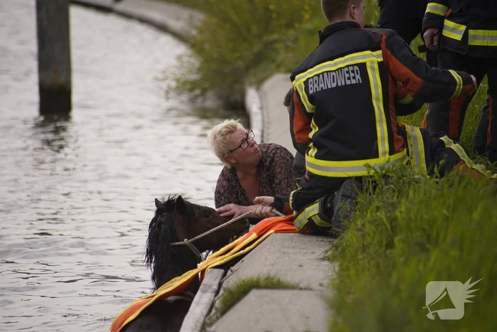 Brandweer heeft handen vol door reddingsactie