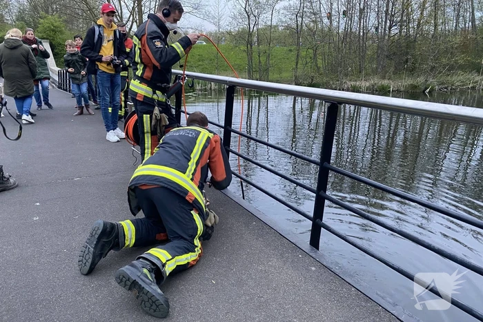 Brandweer duikt in het water gevallen telefoon op