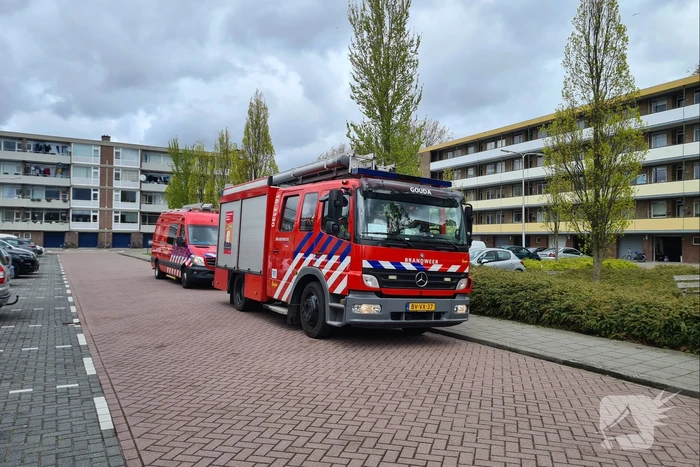 natuur walraven van halllaan gouda