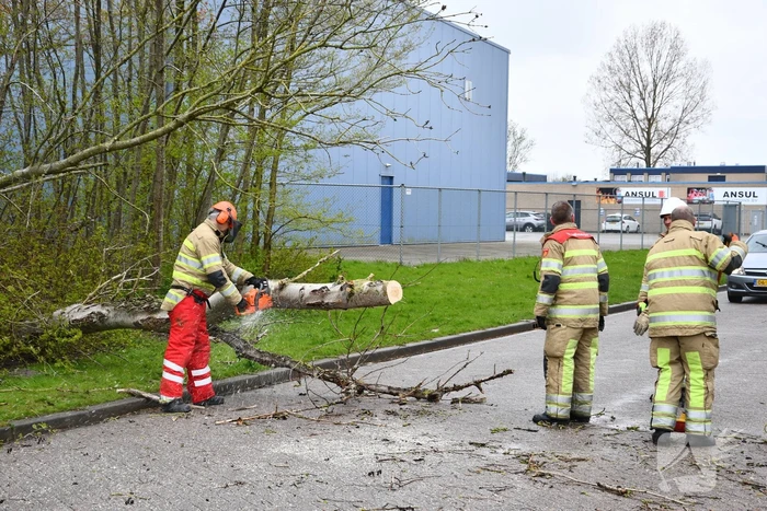 Grote boom omgewaaid op rijbaan