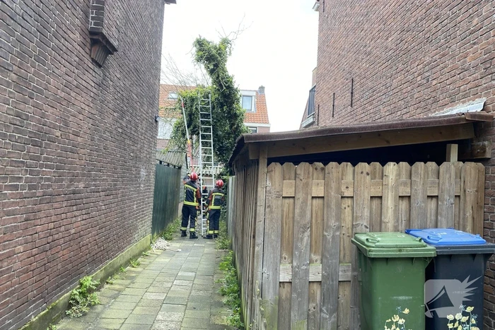 Boom omgewaaid in tuin