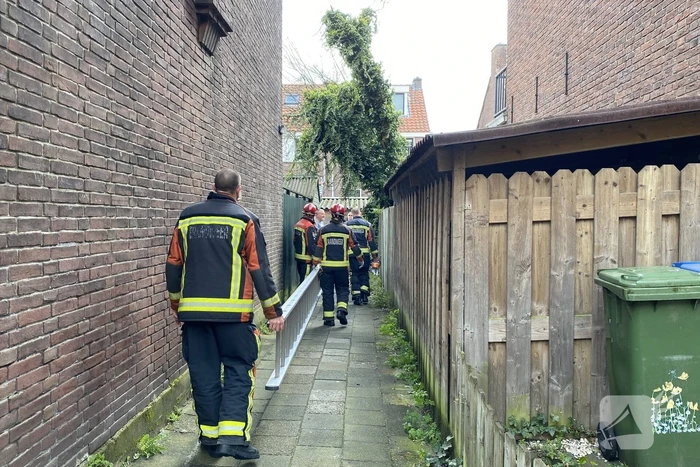 Boom omgewaaid in tuin