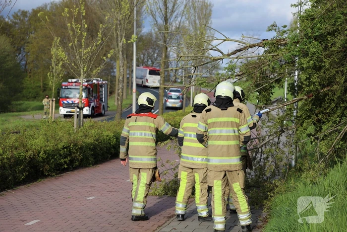 natuur de brand amersfoort