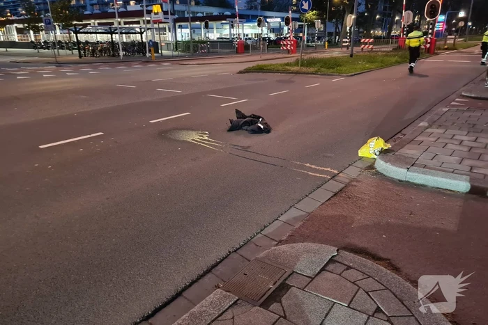 Fietser gewond bij aanrijding met auto