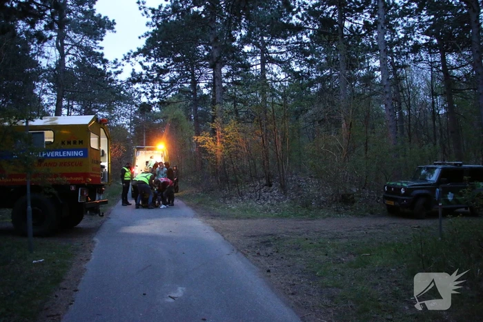 Meisje gewond na val van paard