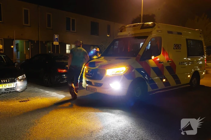 Persoon gebeten door hond