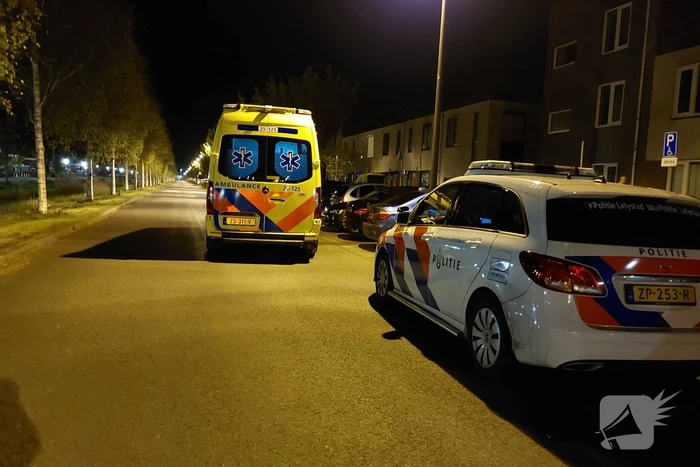 Persoon gebeten door hond