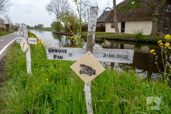 Kruizen langs weg voor doodgereden dieren