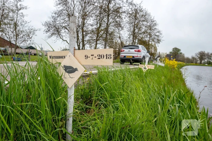 Kruizen langs weg voor doodgereden dieren