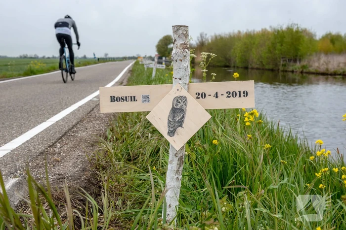 Kruizen langs weg voor doodgereden dieren