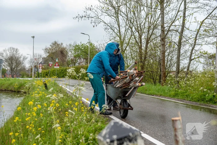 Kruizen langs weg voor doodgereden dieren