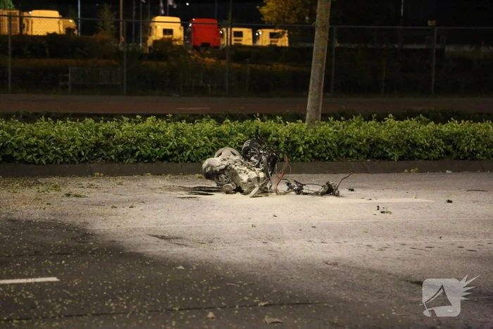 Automobilist knalt op boom na wilde politieachtervolging