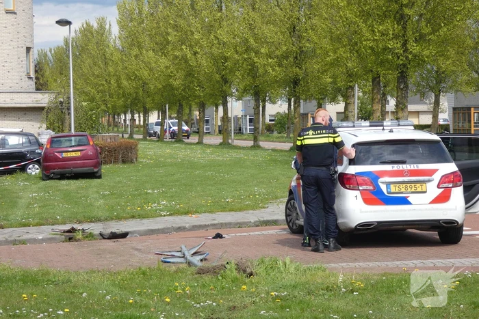 ongeval wadloper kampen