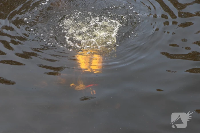 Brandweer haalt tas en bril uit water