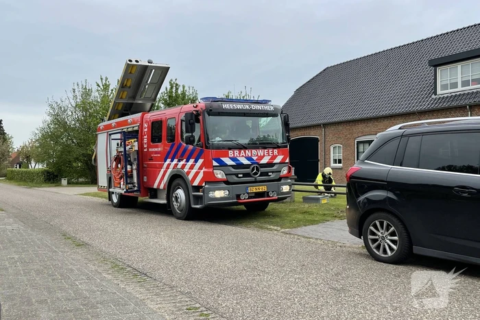 Hond vast boven in boom