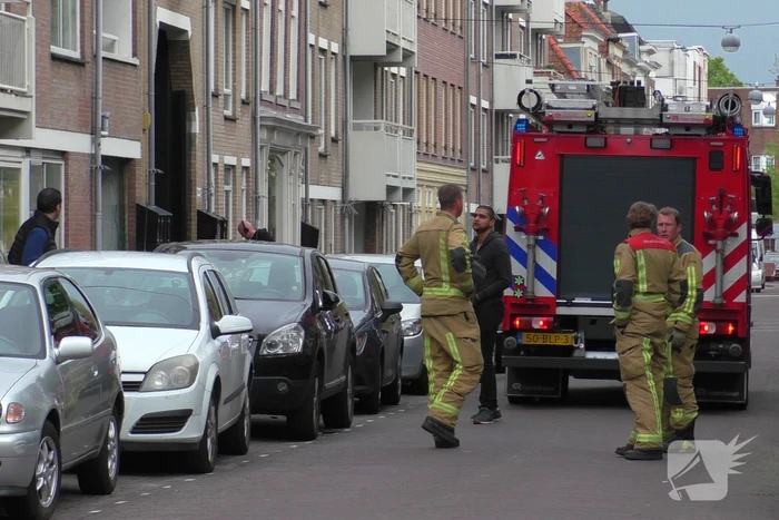nieuws lange beestenmarkt den haag
