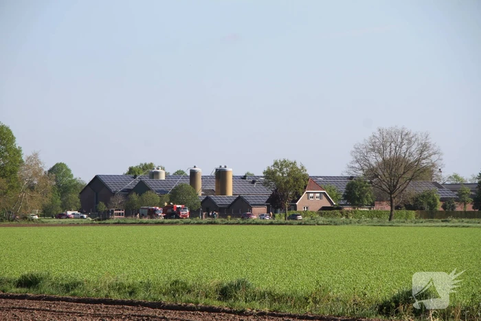 Grote brand in stal met kippen
