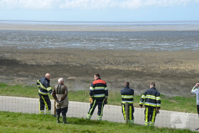 Reddingsactie voor ree in de problemen bij De Zwarte Haan