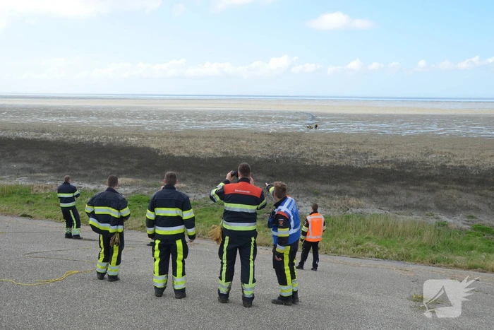 Reddingsactie voor ree in de problemen bij De Zwarte Haan