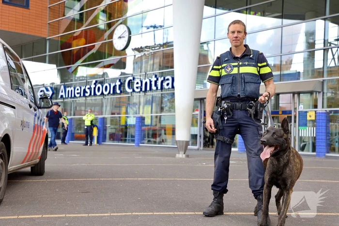 Politie traint met politiehonden in opleiding