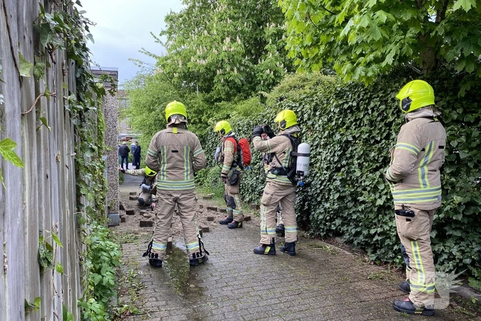 nieuws pelikaan ridderkerk