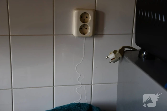 Wietkwekerij aangetroffen na wateroverlast in woning