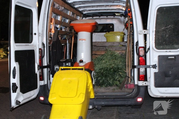Wietkwekerij aangetroffen na wateroverlast in woning