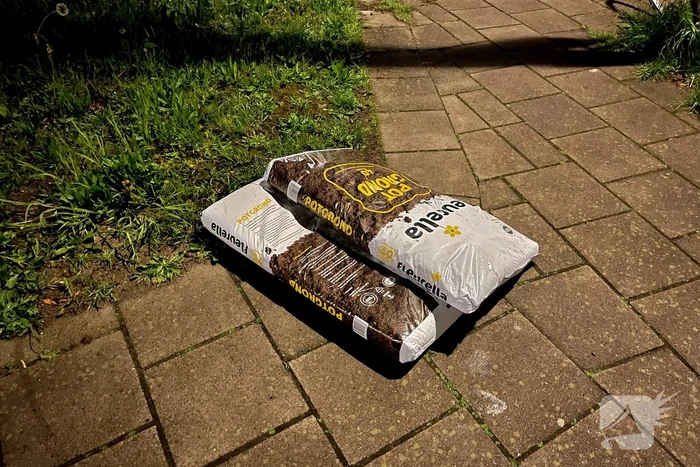 Persfotografen verrichten burgerarrest voor diefstal bij Gamma