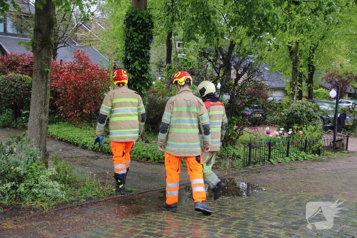 Brandweer zaagt boom in stukken