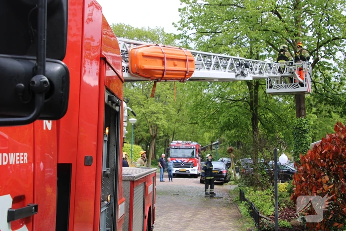 Brandweer zaagt boom in stukken
