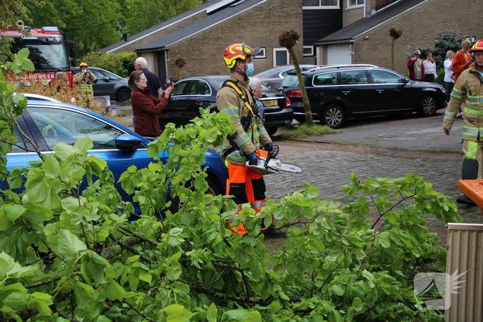 Brandweer zaagt boom in stukken