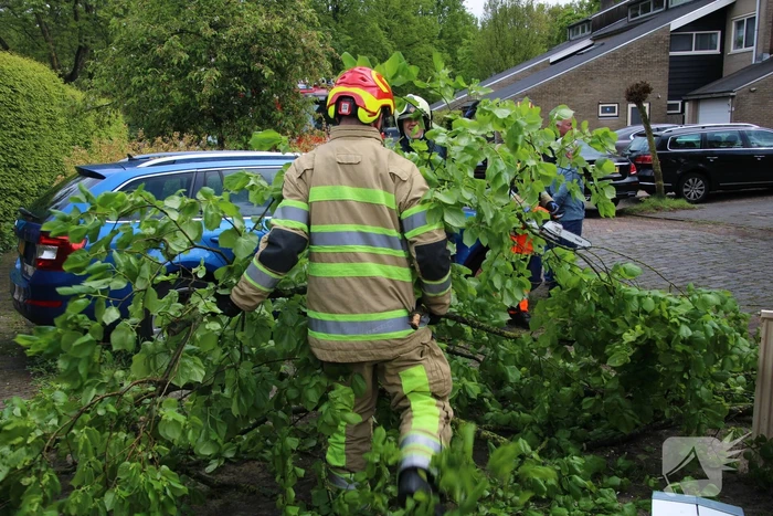 Brandweer zaagt boom in stukken