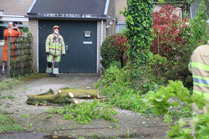 Brandweer zaagt boom in stukken