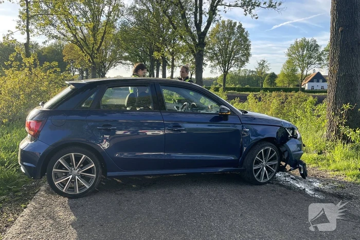 Persoon onder invloed rijdt tegen boom