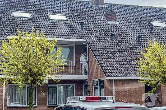 nieuws het top volendam